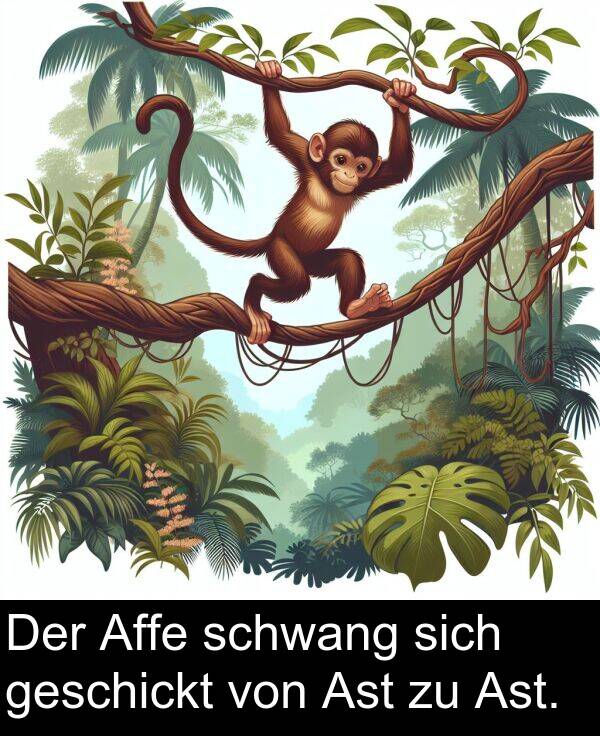 Ast: Der Affe schwang sich geschickt von Ast zu Ast.
