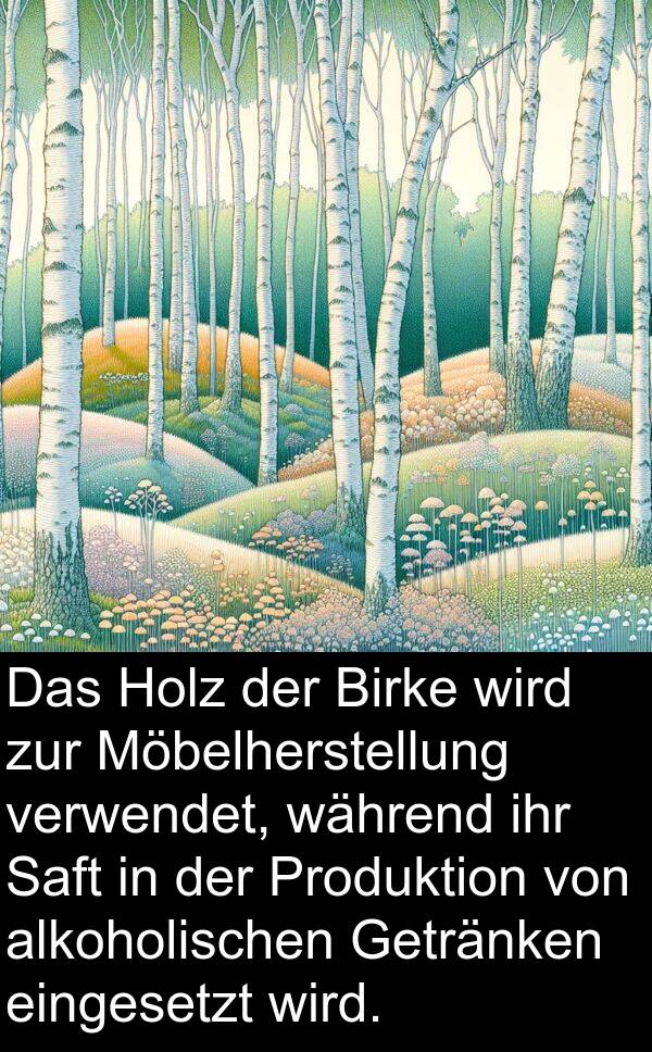 Möbelherstellung: Das Holz der Birke wird zur Möbelherstellung verwendet, während ihr Saft in der Produktion von alkoholischen Getränken eingesetzt wird.