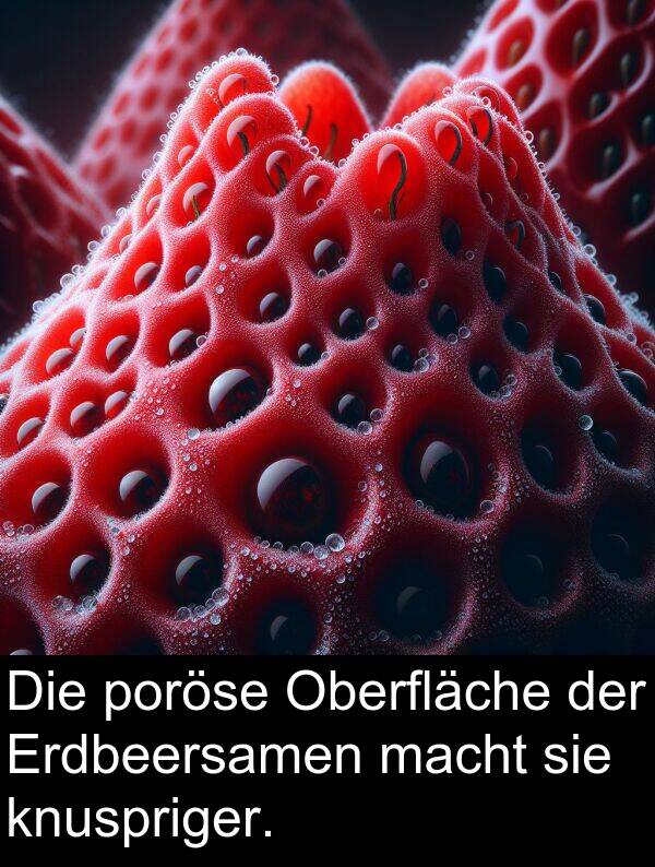 macht: Die poröse Oberfläche der Erdbeersamen macht sie knuspriger.