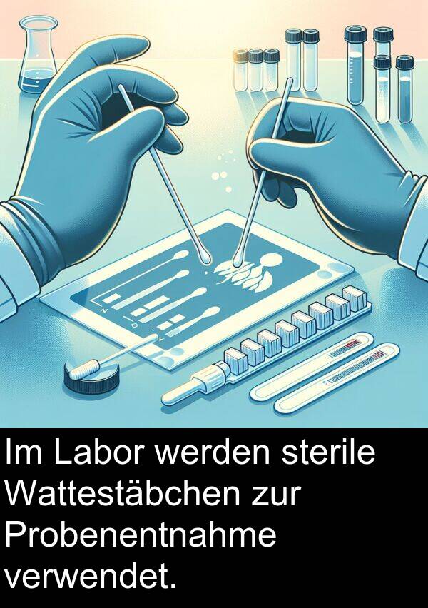 sterile: Im Labor werden sterile Wattestäbchen zur Probenentnahme verwendet.