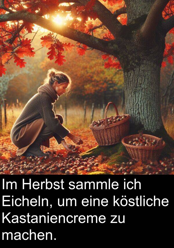 Eicheln: Im Herbst sammle ich Eicheln, um eine köstliche Kastaniencreme zu machen.