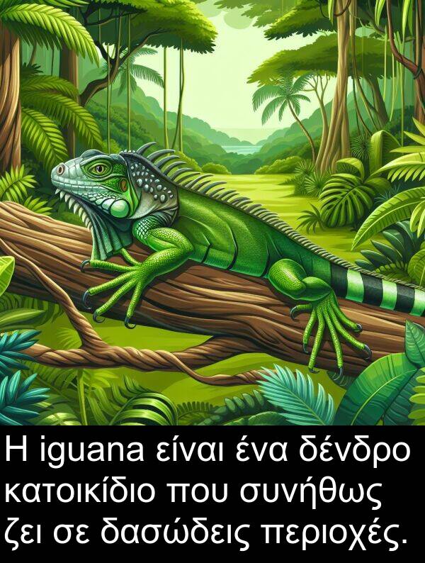 ζει: Η iguana είναι ένα δένδρο κατοικίδιο που συνήθως ζει σε δασώδεις περιοχές.