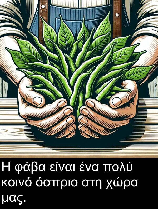 φάβα: Η φάβα είναι ένα πολύ κοινό όσπριο στη χώρα μας.