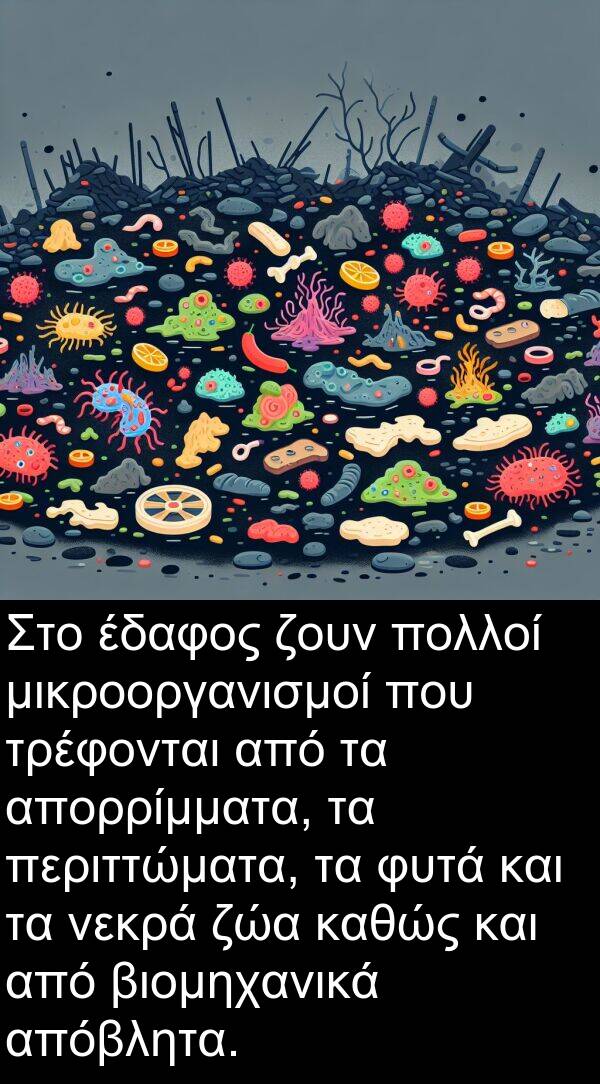 νεκρά: Στο έδαφος ζουν πολλοί μικροοργανισμοί που τρέφονται από τα απορρίμματα, τα περιττώματα, τα φυτά και τα νεκρά ζώα καθώς και από βιομηχανικά απόβλητα.