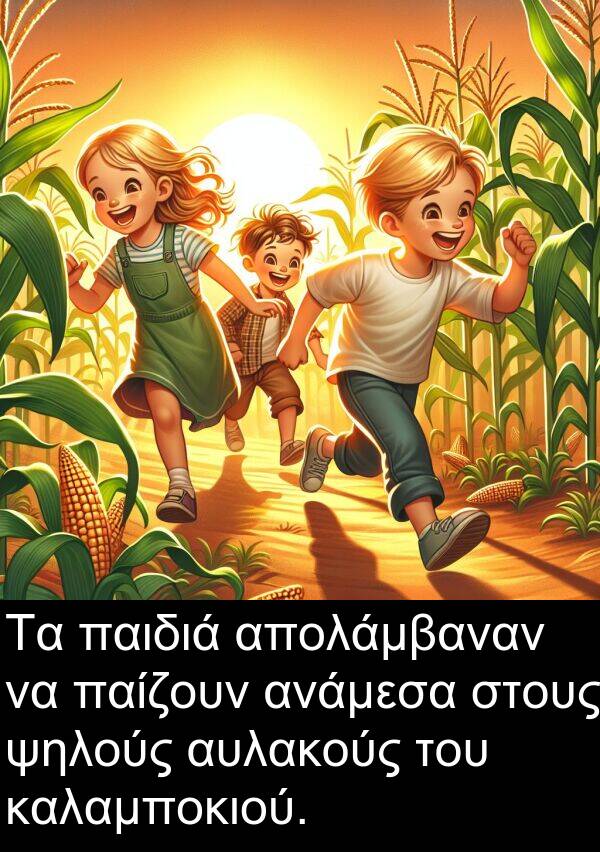παίζουν: Τα παιδιά απολάμβαναν να παίζουν ανάμεσα στους ψηλούς αυλακούς του καλαμποκιού.