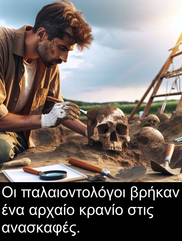 παλαιοντολόγοι: Οι παλαιοντολόγοι βρήκαν ένα αρχαίο κρανίο στις ανασκαφές.