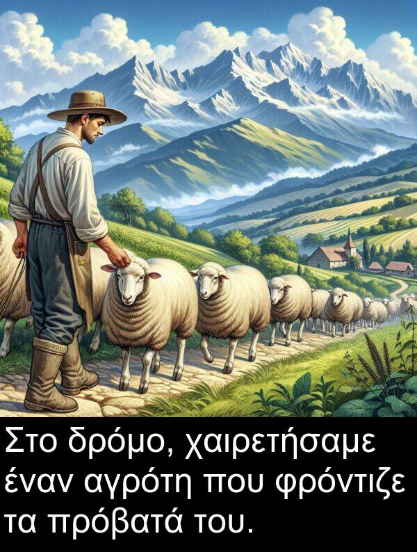 χαιρετήσαμε: Στο δρόμο, χαιρετήσαμε έναν αγρότη που φρόντιζε τα πρόβατά του.