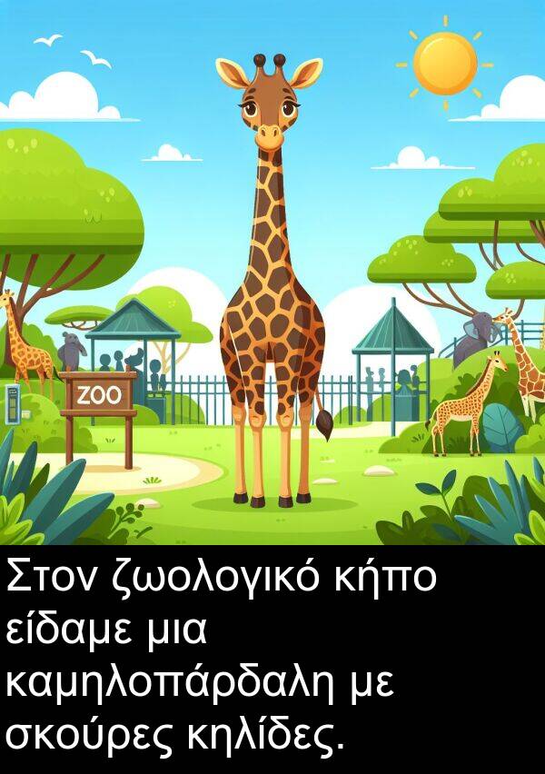 ζωολογικό: Στον ζωολογικό κήπο είδαμε μια καμηλοπάρδαλη με σκούρες κηλίδες.