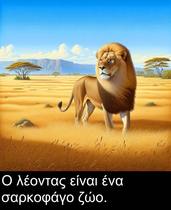 ζώο: Ο λέοντας είναι ένα σαρκοφάγο ζώο.