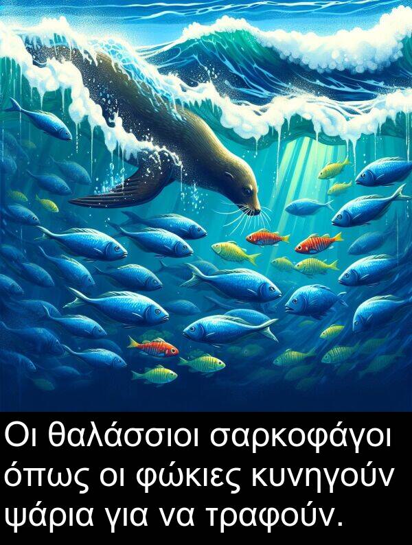 θαλάσσιοι: Οι θαλάσσιοι σαρκοφάγοι όπως οι φώκιες κυνηγούν ψάρια για να τραφούν.