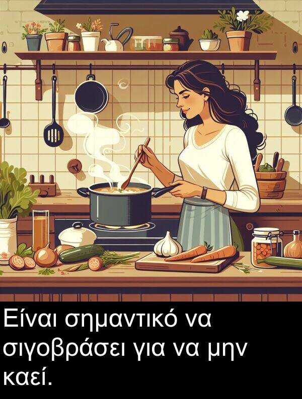 καεί: Είναι σημαντικό να σιγοβράσει για να μην καεί.