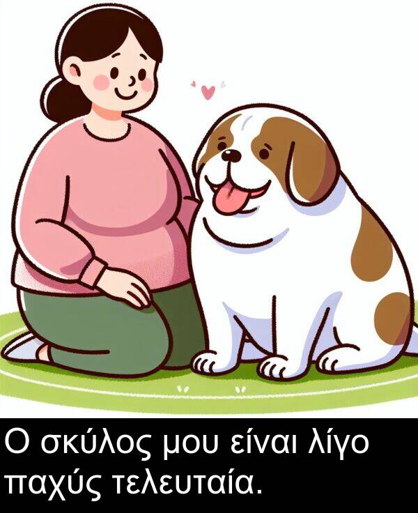 είναι: Ο σκύλος μου είναι λίγο παχύς τελευταία.