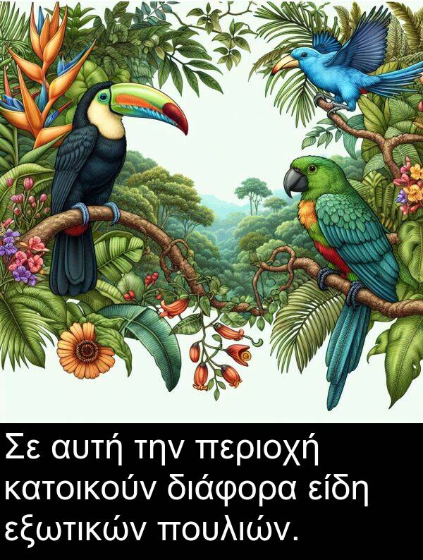 αυτή: Σε αυτή την περιοχή κατοικούν διάφορα είδη εξωτικών πουλιών.