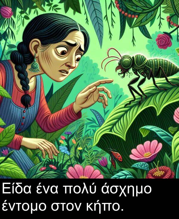 έντομο: Είδα ένα πολύ άσχημο έντομο στον κήπο.