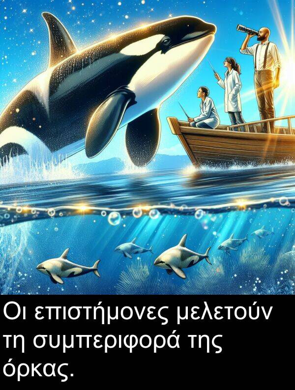 συμπεριφορά: Οι επιστήμονες μελετούν τη συμπεριφορά της όρκας.