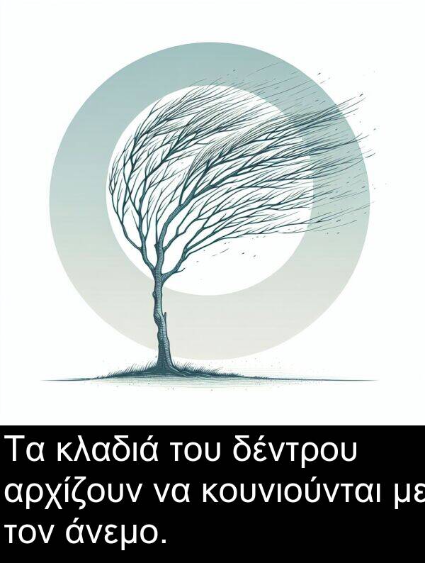 δέντρου: Τα κλαδιά του δέντρου αρχίζουν να κουνιούνται με τον άνεμο.