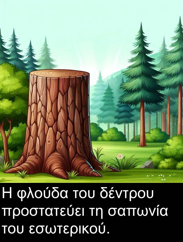 φλούδα: Η φλούδα του δέντρου προστατεύει τη σαπωνία του εσωτερικού.