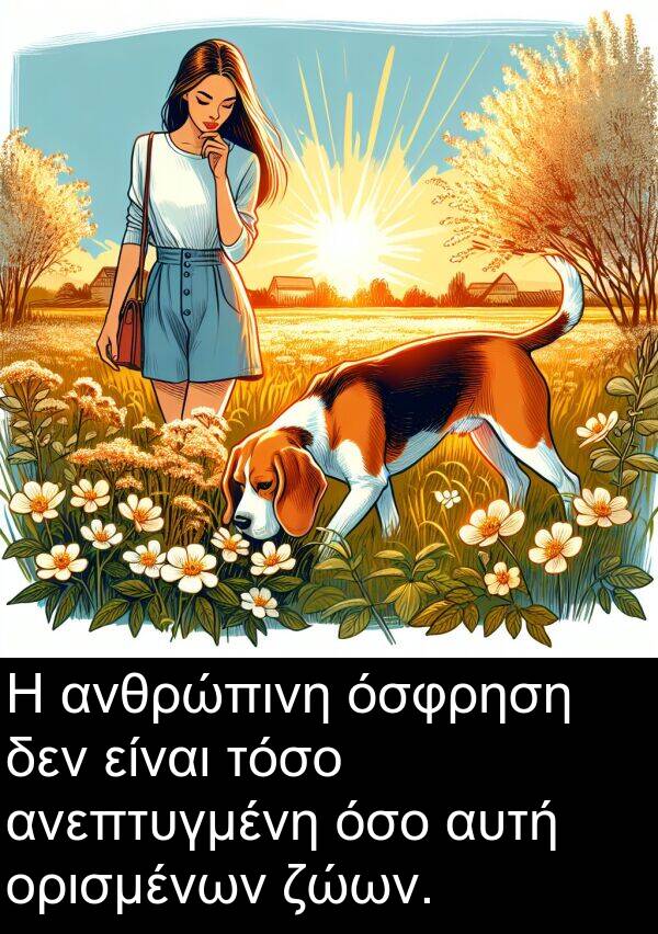 ζώων: Η ανθρώπινη όσφρηση δεν είναι τόσο ανεπτυγμένη όσο αυτή ορισμένων ζώων.