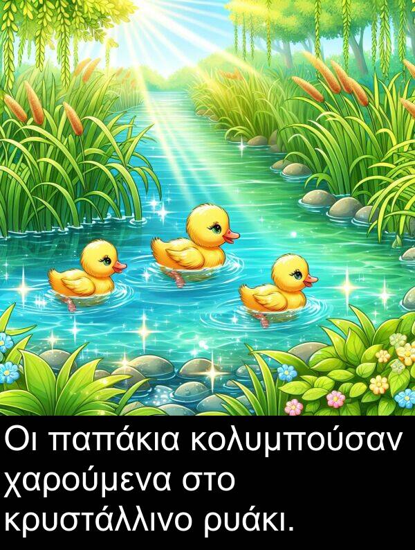 χαρούμενα: Οι παπάκια κολυμπούσαν χαρούμενα στο κρυστάλλινο ρυάκι.