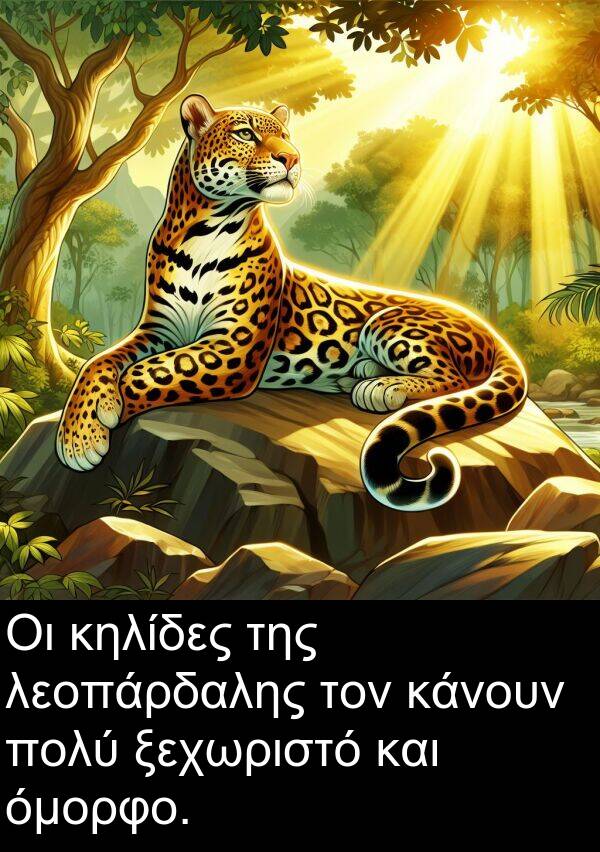 ξεχωριστό: Οι κηλίδες της λεοπάρδαλης τον κάνουν πολύ ξεχωριστό και όμορφο.