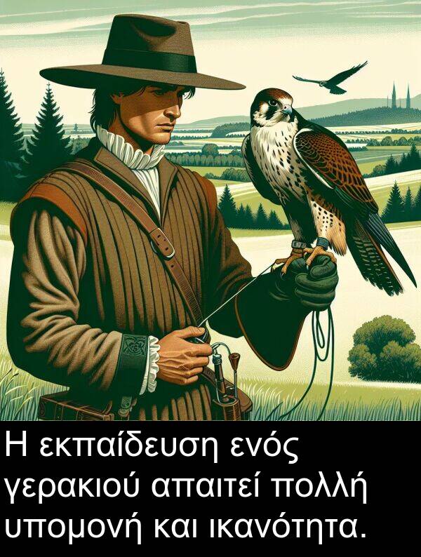 γερακιού: Η εκπαίδευση ενός γερακιού απαιτεί πολλή υπομονή και ικανότητα.