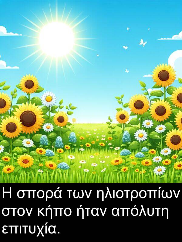 επιτυχία: Η σπορά των ηλιοτροπίων στον κήπο ήταν απόλυτη επιτυχία.