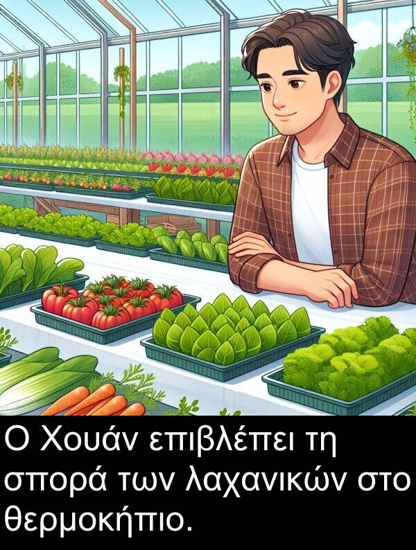 θερμοκήπιο: Ο Χουάν επιβλέπει τη σπορά των λαχανικών στο θερμοκήπιο.