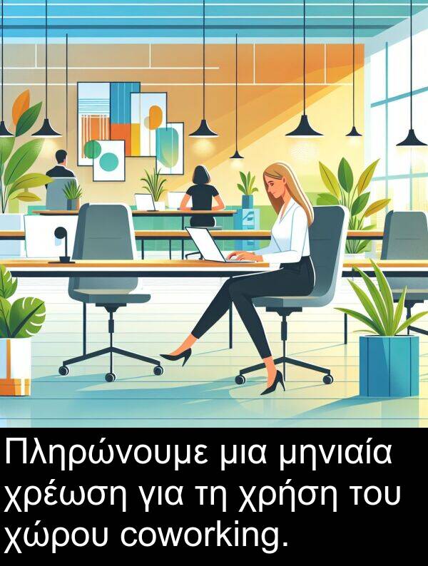 μηνιαία: Πληρώνουμε μια μηνιαία χρέωση για τη χρήση του χώρου coworking.