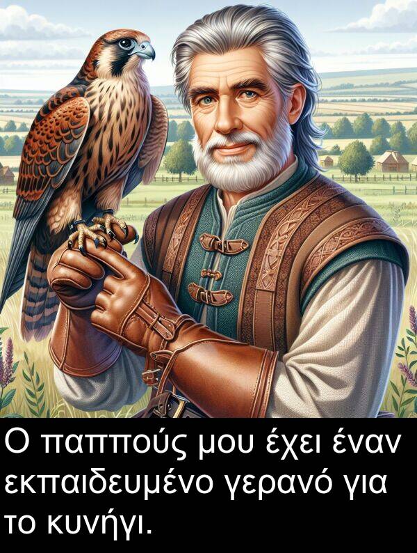 γερανό: Ο παππούς μου έχει έναν εκπαιδευμένο γερανό για το κυνήγι.