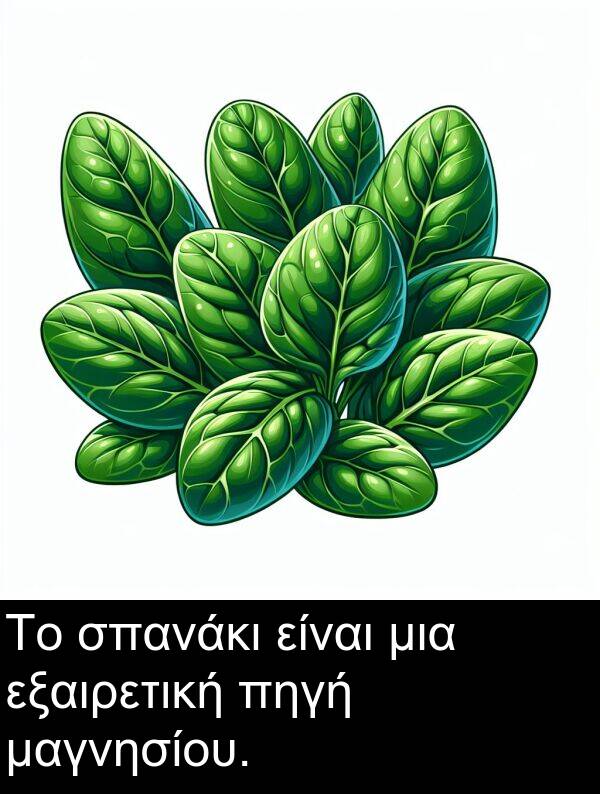 μαγνησίου: Το σπανάκι είναι μια εξαιρετική πηγή μαγνησίου.