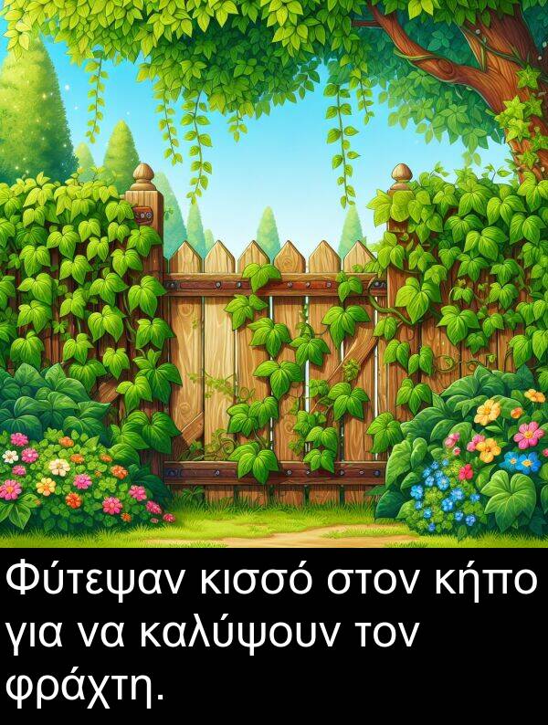 φράχτη: Φύτεψαν κισσό στον κήπο για να καλύψουν τον φράχτη.
