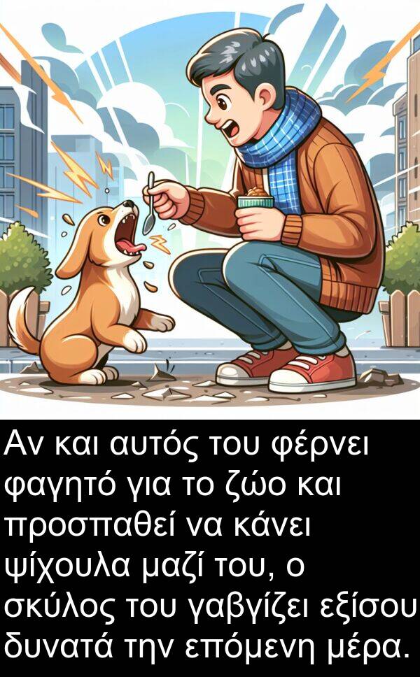 φέρνει: Αν και αυτός του φέρνει φαγητό για το ζώο και προσπαθεί να κάνει ψίχουλα μαζί του, ο σκύλος του γαβγίζει εξίσου δυνατά την επόμενη μέρα.