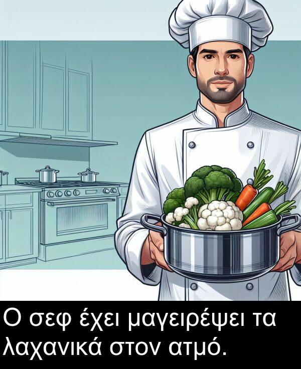 σεφ: Ο σεφ έχει μαγειρέψει τα λαχανικά στον ατμό.