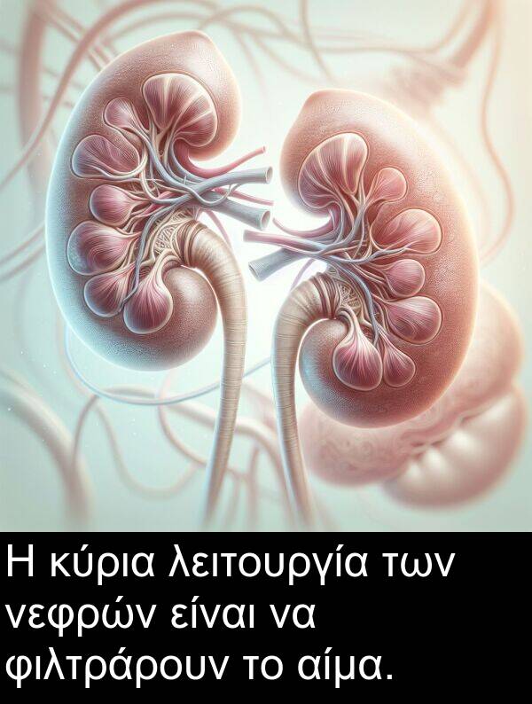 αίμα: Η κύρια λειτουργία των νεφρών είναι να φιλτράρουν το αίμα.