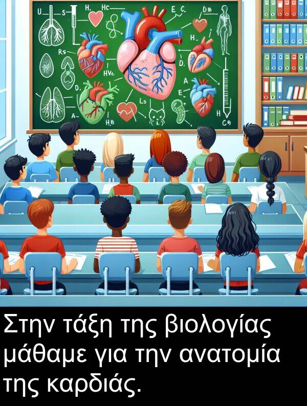 τάξη: Στην τάξη της βιολογίας μάθαμε για την ανατομία της καρδιάς.