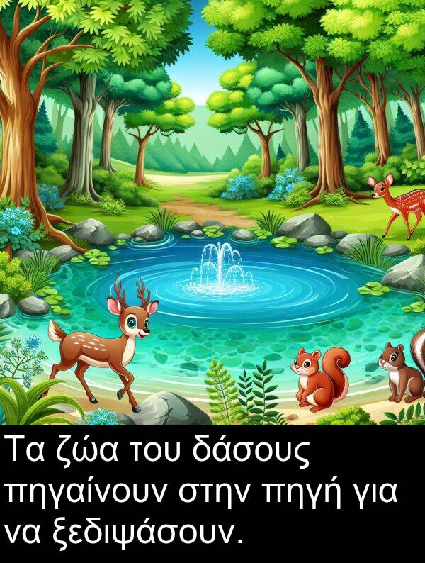 ζώα: Τα ζώα του δάσους πηγαίνουν στην πηγή για να ξεδιψάσουν.