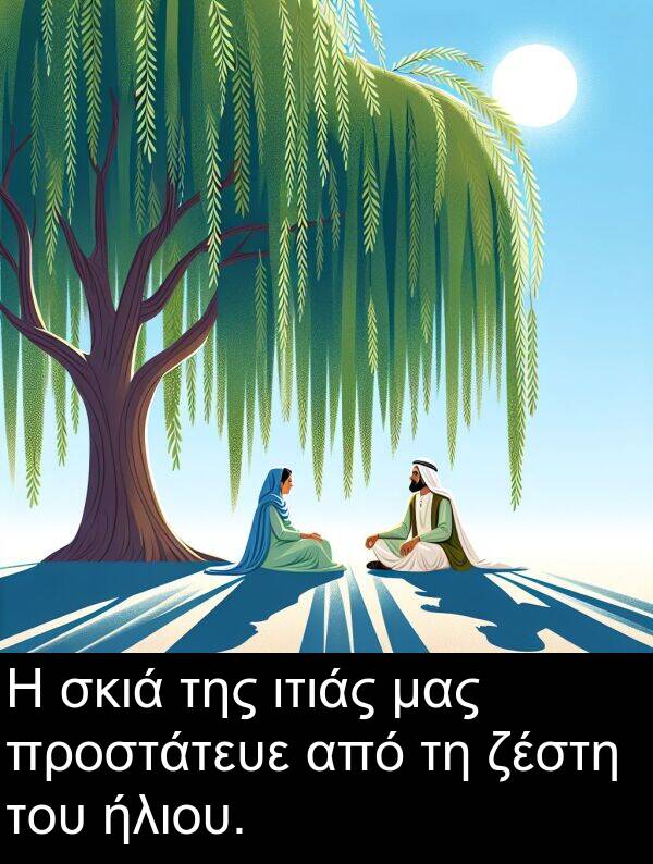ζέστη: Η σκιά της ιτιάς μας προστάτευε από τη ζέστη του ήλιου.