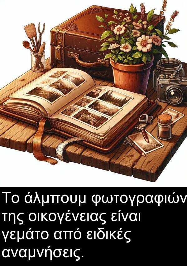 οικογένειας: Το άλμπουμ φωτογραφιών της οικογένειας είναι γεμάτο από ειδικές αναμνήσεις.