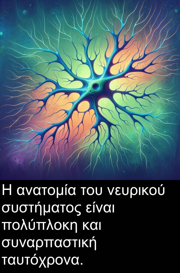 ταυτόχρονα: Η ανατομία του νευρικού συστήματος είναι πολύπλοκη και συναρπαστική ταυτόχρονα.