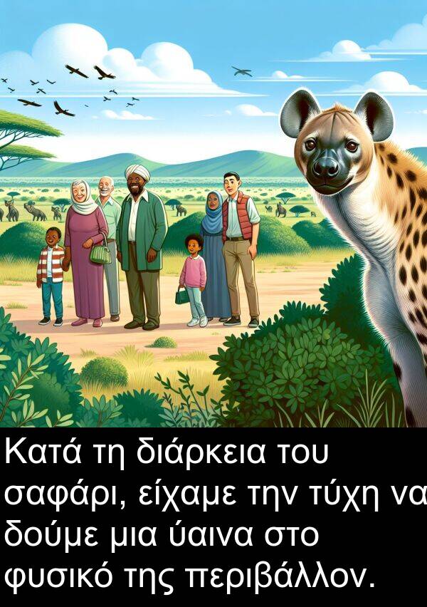 είχαμε: Κατά τη διάρκεια του σαφάρι, είχαμε την τύχη να δούμε μια ύαινα στο φυσικό της περιβάλλον.