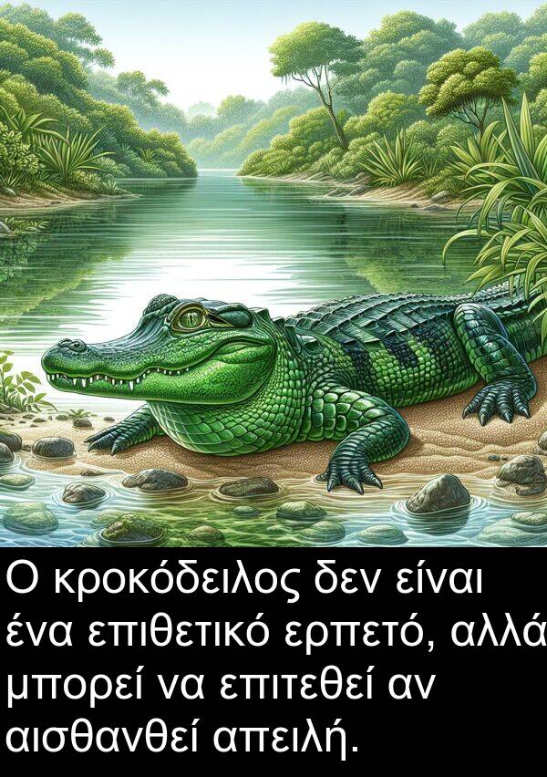 επιθετικό: Ο κροκόδειλος δεν είναι ένα επιθετικό ερπετό, αλλά μπορεί να επιτεθεί αν αισθανθεί απειλή.