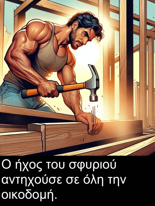 οικοδομή: Ο ήχος του σφυριού αντηχούσε σε όλη την οικοδομή.