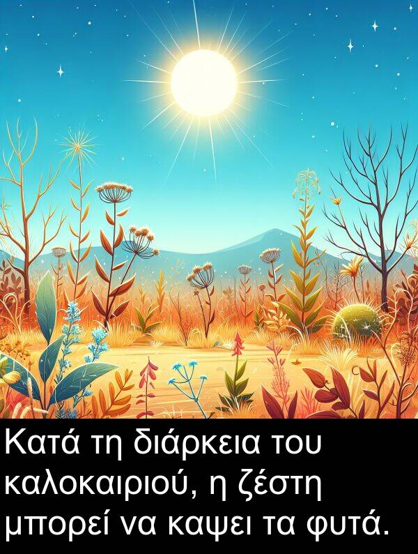 ζέστη: Κατά τη διάρκεια του καλοκαιριού, η ζέστη μπορεί να καψει τα φυτά.