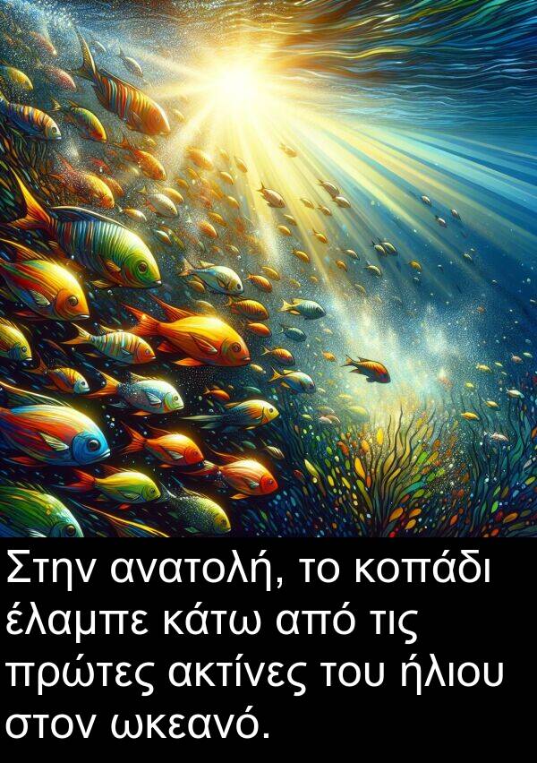 ωκεανό: Στην ανατολή, το κοπάδι έλαμπε κάτω από τις πρώτες ακτίνες του ήλιου στον ωκεανό.