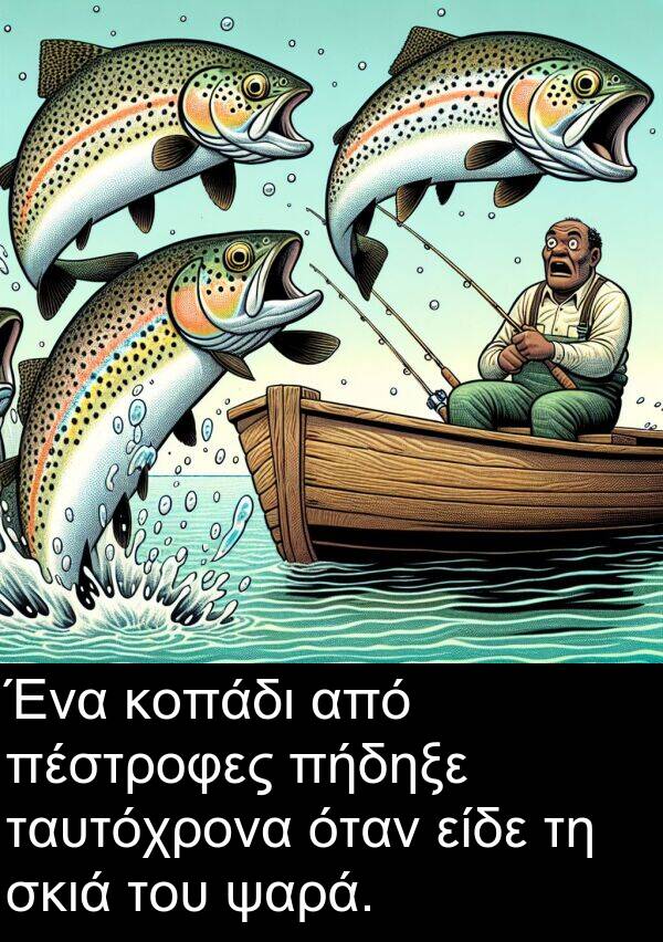 ταυτόχρονα: Ένα κοπάδι από πέστροφες πήδηξε ταυτόχρονα όταν είδε τη σκιά του ψαρά.