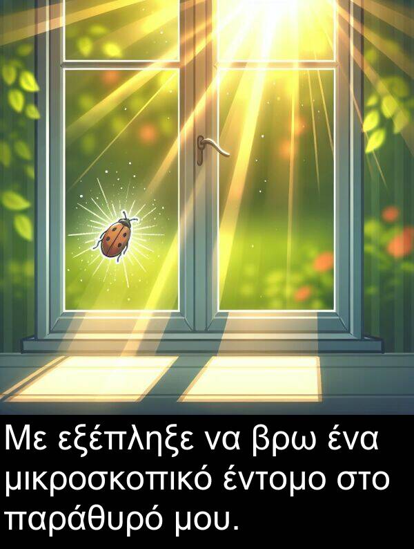 έντομο: Με εξέπληξε να βρω ένα μικροσκοπικό έντομο στο παράθυρό μου.