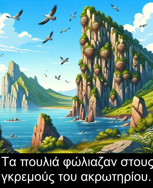 φώλιαζαν: Τα πουλιά φώλιαζαν στους γκρεμούς του ακρωτηρίου.