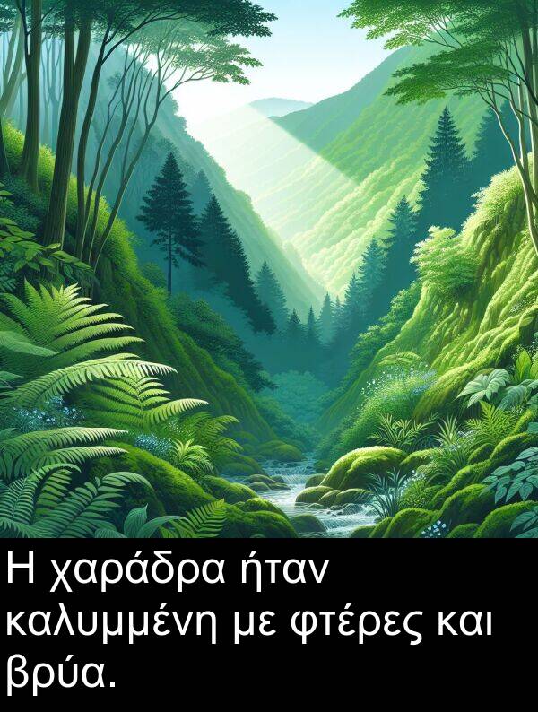 και: Η χαράδρα ήταν καλυμμένη με φτέρες και βρύα.