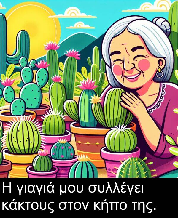 γιαγιά: Η γιαγιά μου συλλέγει κάκτους στον κήπο της.