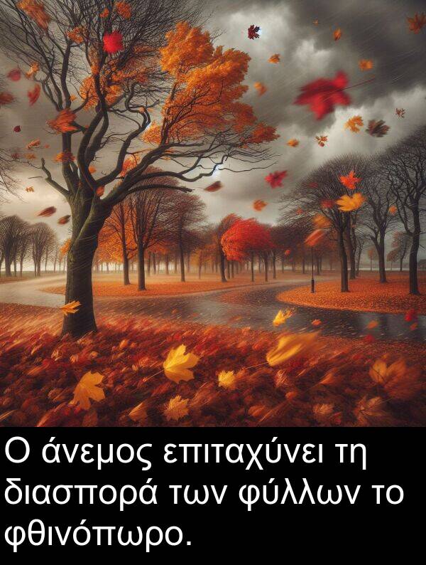 φθινόπωρο: Ο άνεμος επιταχύνει τη διασπορά των φύλλων το φθινόπωρο.